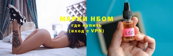 трава Белокуриха