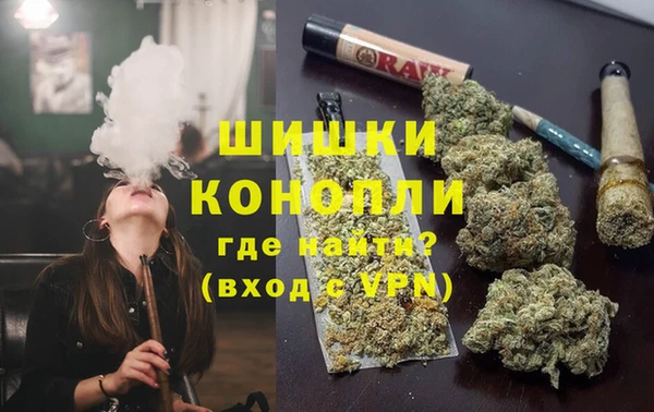 трава Белокуриха
