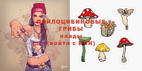трава Белокуриха