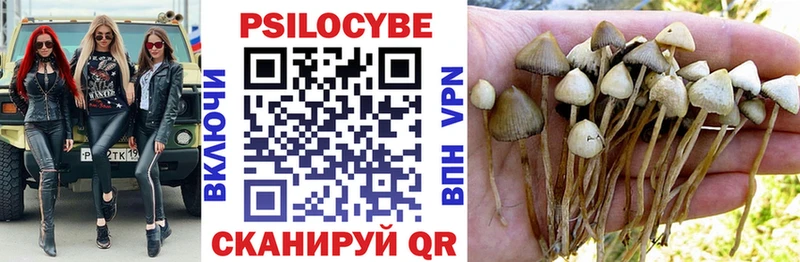 Псилоцибиновые грибы прущие грибы  Дрезна 